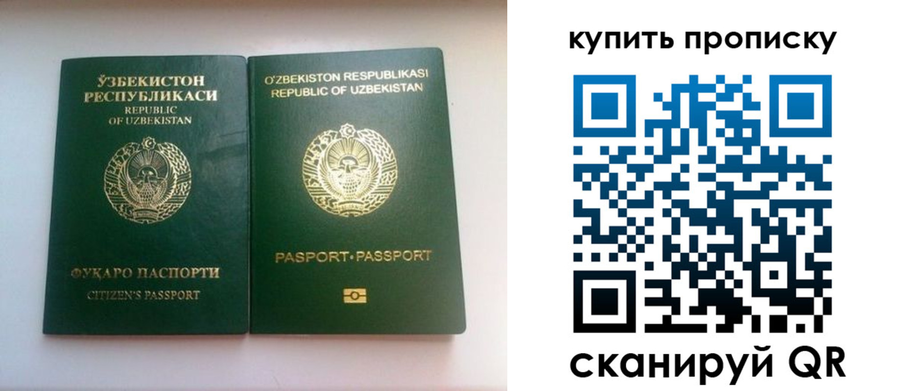 временная прописка в Жуковке